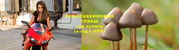 альфа пвп Наволоки