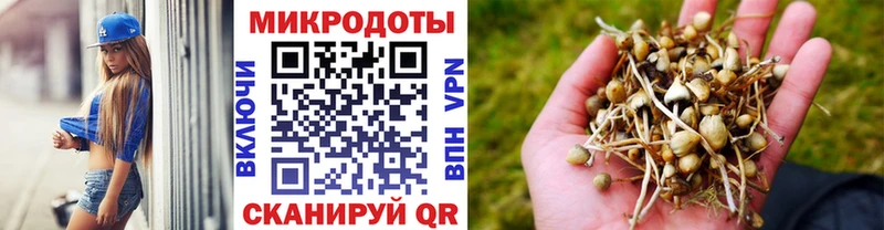 Галлюциногенные грибы Psilocybine cubensis Макушино