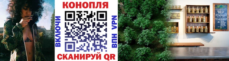 Бошки Шишки VHQ Макушино